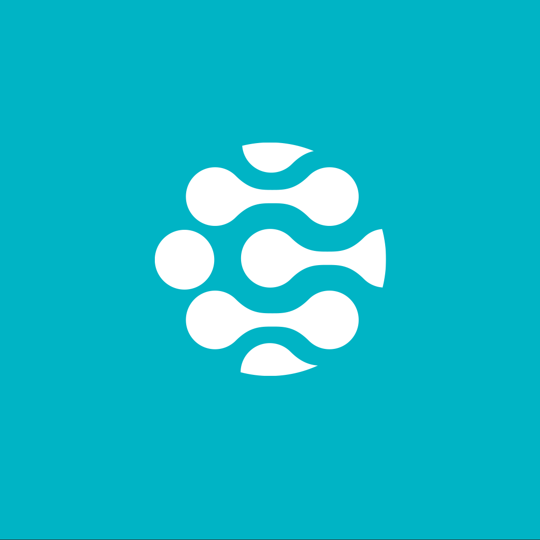 Chiropractic-New-Zealand-Logo